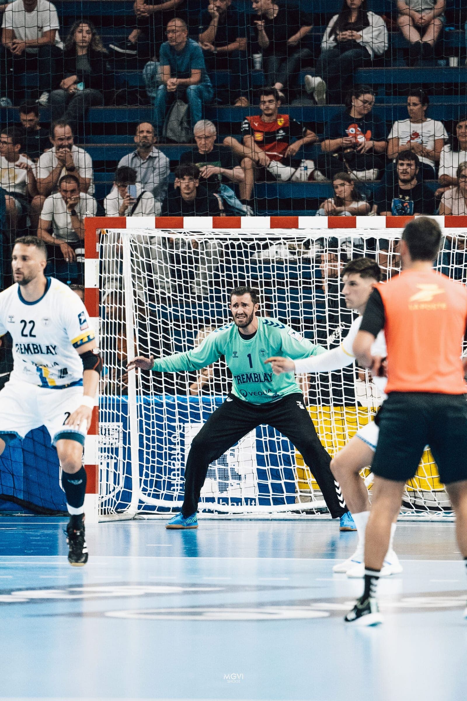 Limoges pour finir novembre : un défi de taille pour le Tremblay Handball