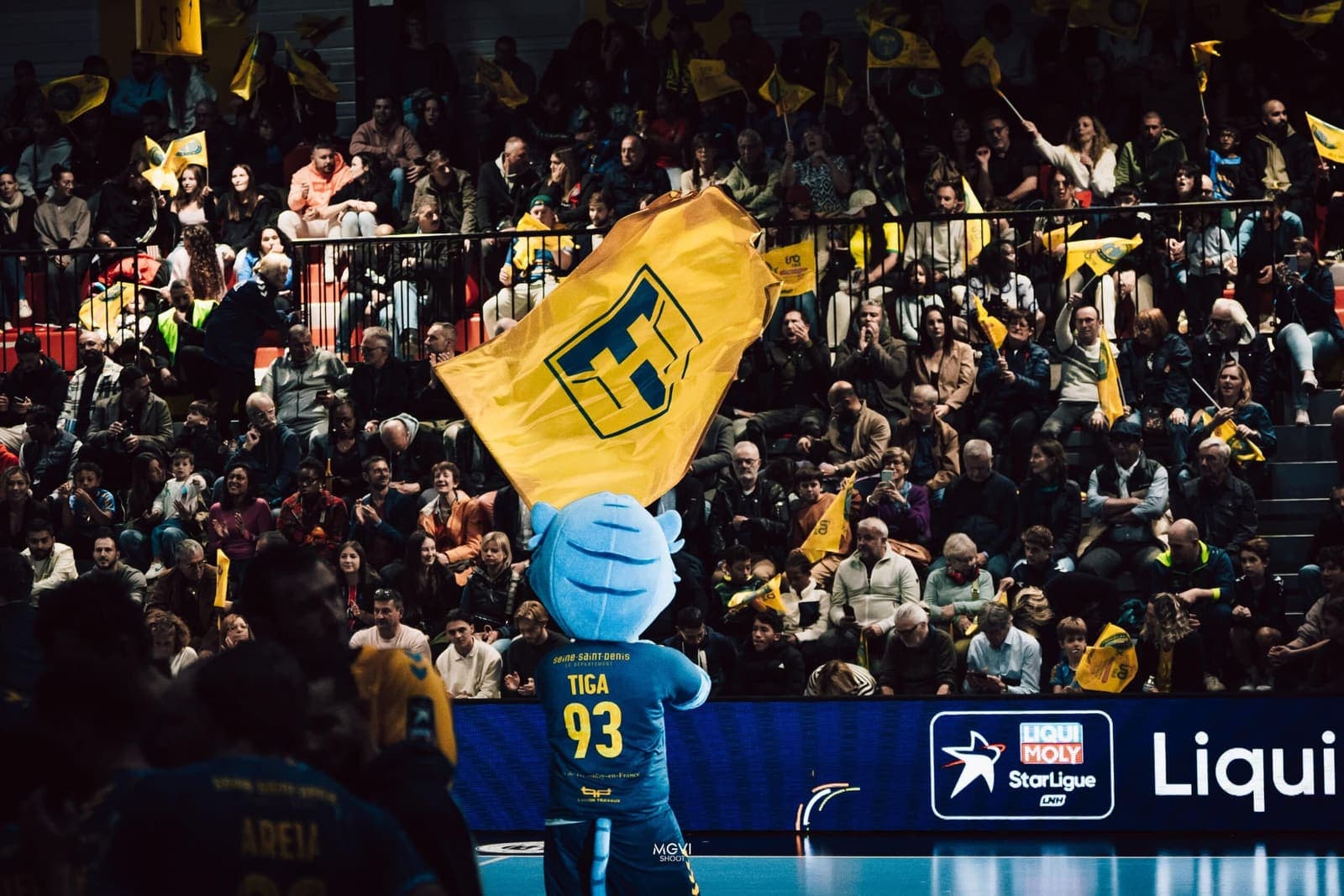 Tremblay Handball – Fenix Toulouse : Un défi de taille à domicile