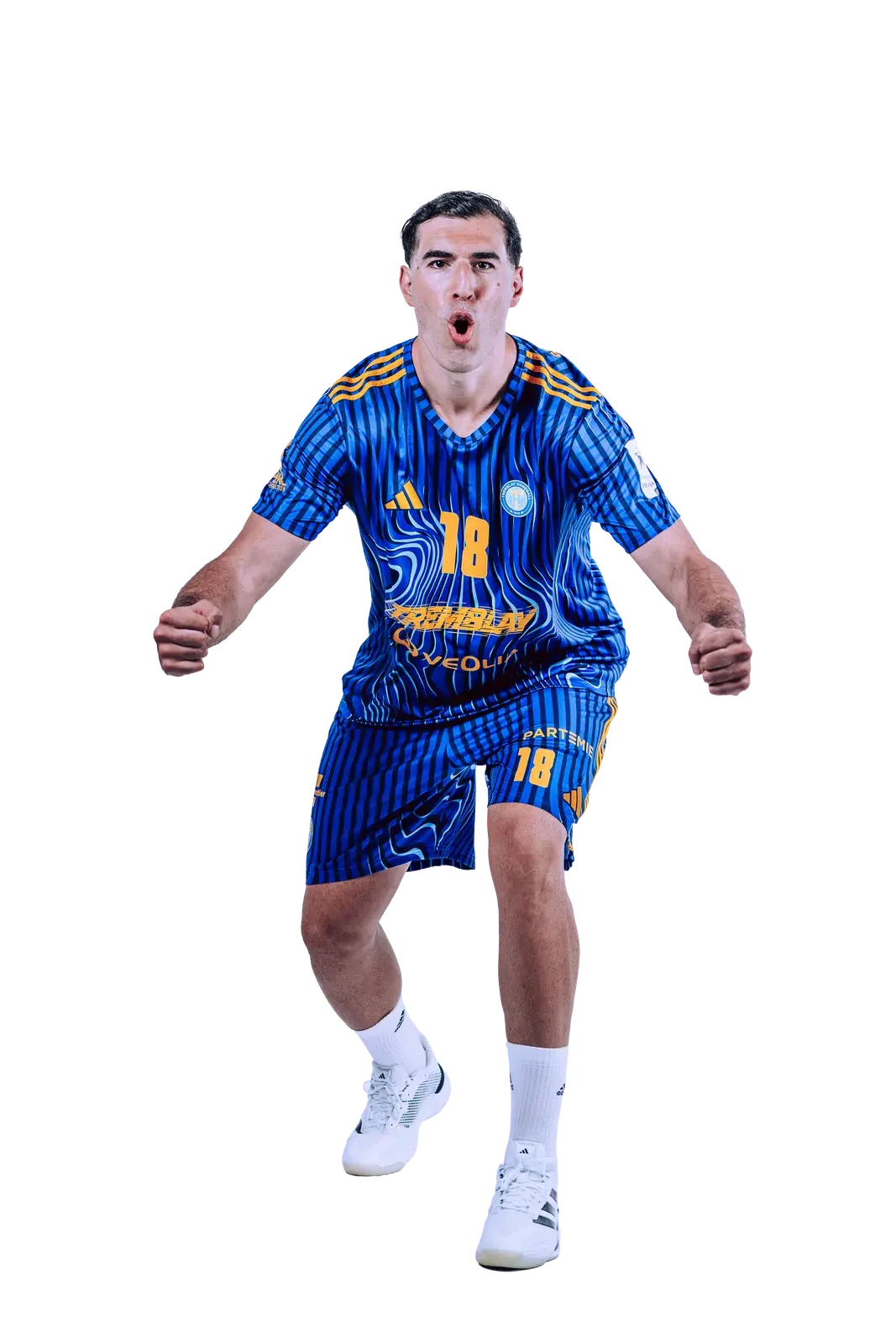 Erekle Arsenashvili